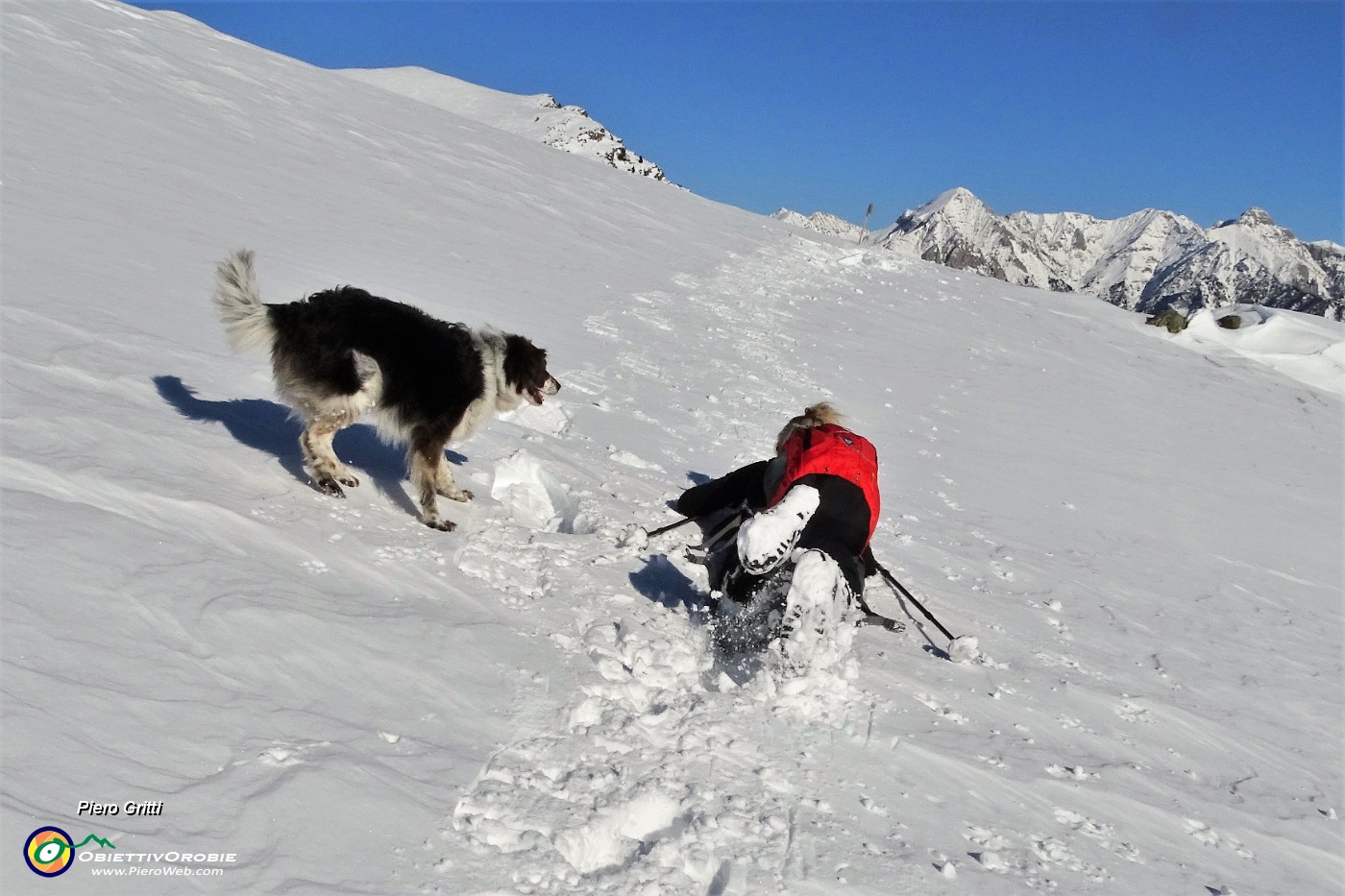 20 Nika preoccupata per Susi affondata nella neve....JPG